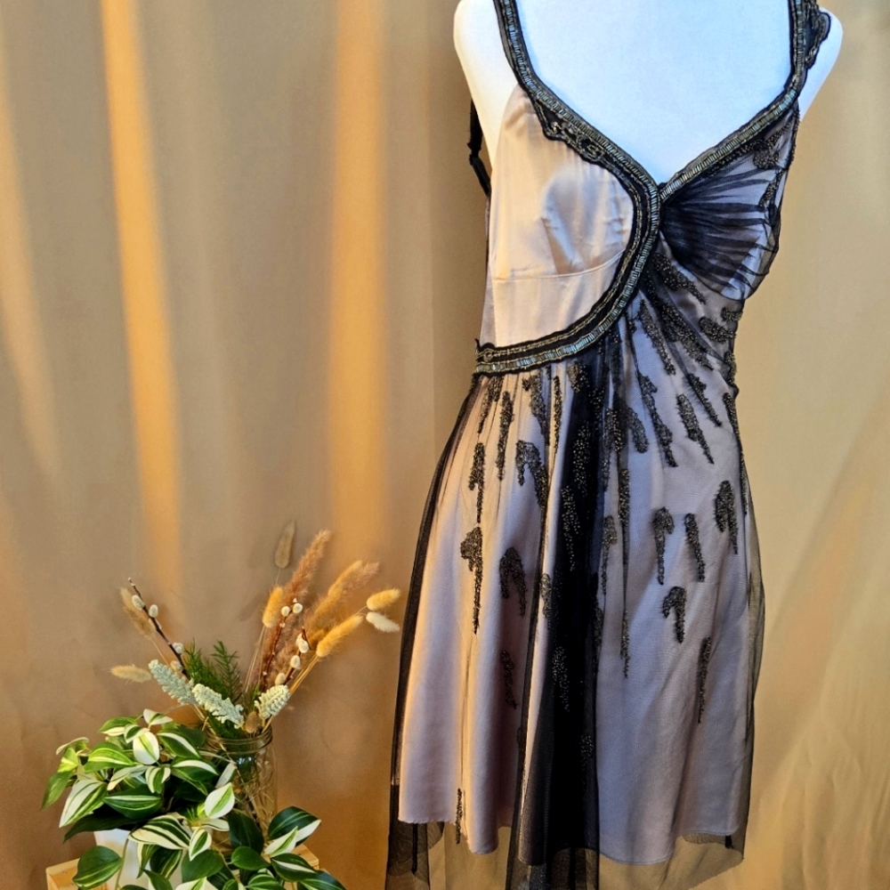 Elegant Black and Nude Women's  Dress